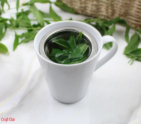 how to make lemon verbena tea