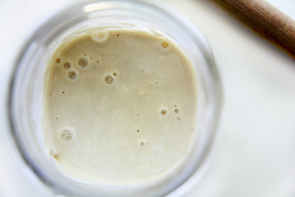 how to make sourdough starter