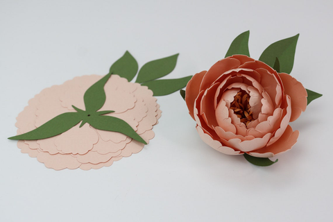 Paper flower kit for crafters