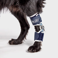 orthopedic bracing for dogs and cats - Balto®USA Flexor