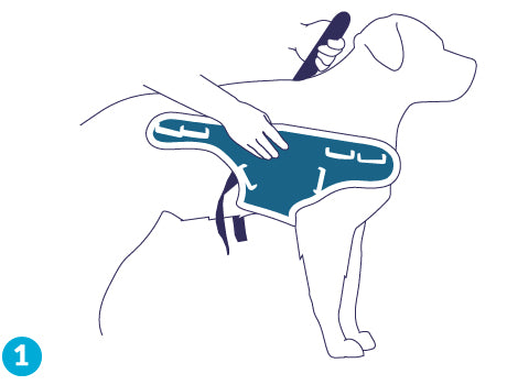 figure 1 for balto body lift dog brace
