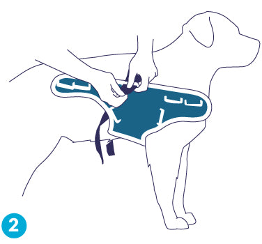 figure 2 for balto body lift dog brace