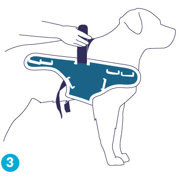 figure 3 for balto body lift dog brace