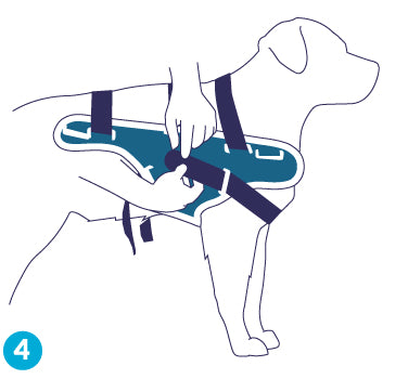 figure 4 for balto body lift dog brace