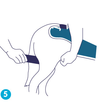 figure 5 for balto body lift dog brace