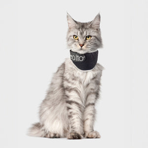 orthopedic bracing for cats - Balto®UK Neck Eco - Feline