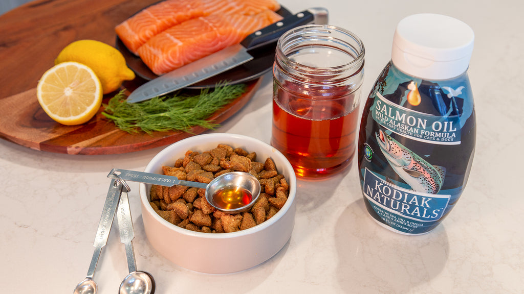 salmon oil with food top down image