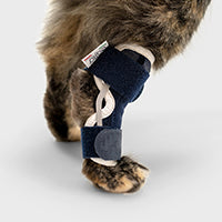 orthopedic bracing for cats - Balto®USA Hock