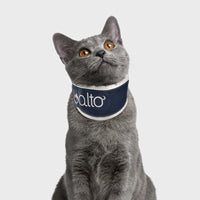 orthopedic bracing for cats - Balto®USA Neck
