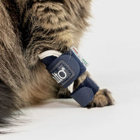 orthopedic bracing for cats - Balto®USA Splint