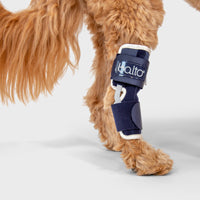 orthopedic bracing for dogs and cats - Balto®USA Hock