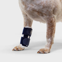 orthopedic bracing for dogs and cats - Balto®USA Splint