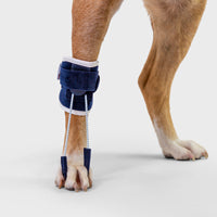 orthopedic bracing for dogs and cats - Balto®USA Pull