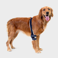 orthopedic bracing for dogs and cats - Balto®USA Soft