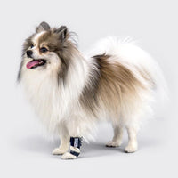 orthopedic bracing for dogs and cats - Balto®USA Splint