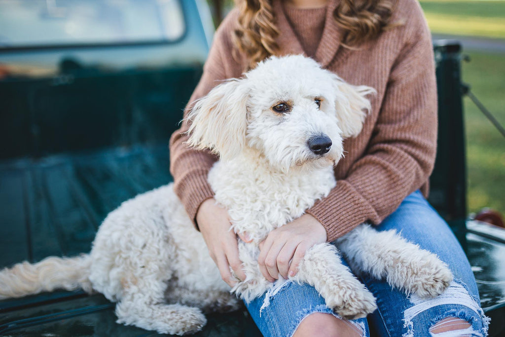 woman and dog sitting