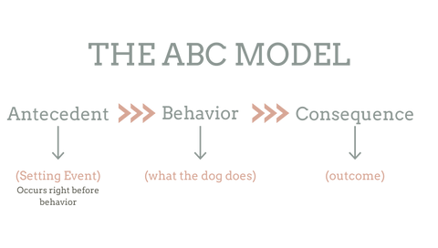 Rocky Mountain Dog Training - The ABC Model