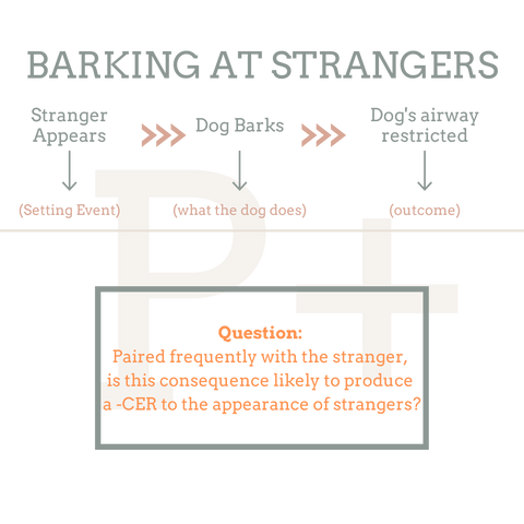 Rocky Mountain Dog Training - Barking at Strangers