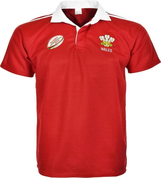 WALES RUGBY WORLD CUP FAN T-SHIRT 2015 (SIZE S TO 2XL) – First Uniform ...