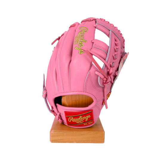 Pink Panther Catcher's mitt 32.5 🩷😤💪 #zgloves #baseball #catcher  #catchersmitt #catcherswag #travelbaseball #mlb #highschoolbaseball…