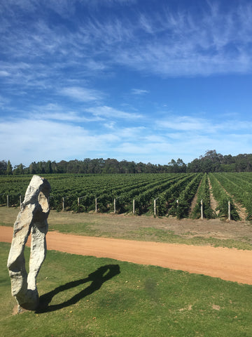 Lundberg Amongst the Vines