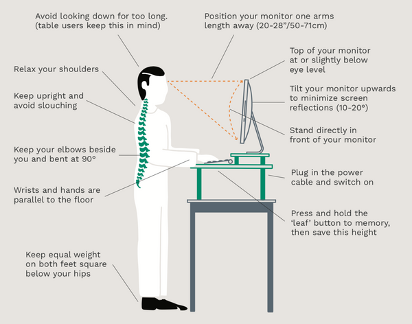 Ergonomic setup for MOVI Standing Desk