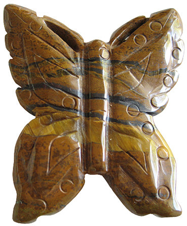 tiger eye butterfly