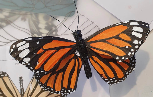 Paper butterfly workshop