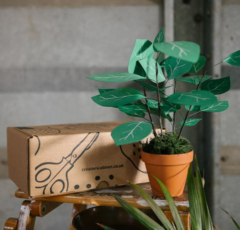 dinner party gift ideas paper plant