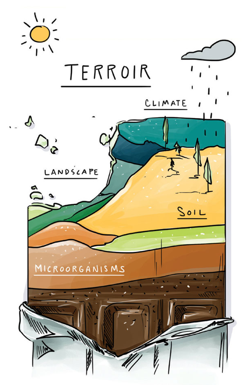 chocolate bar soil