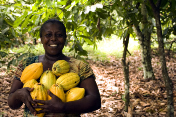 Ivorian cocoa farmer