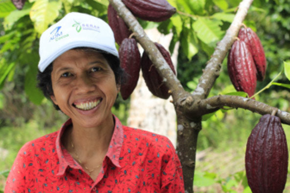 Indonesian cocoa farmer