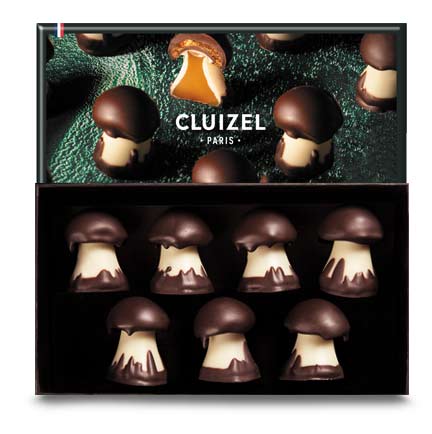 Chocolate Gift Box, 15 – Chocolat Michel Cluizel