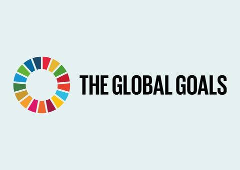 Light blue background with 'The Global Goals' in black writing. on the left there is a circle filled with the colours of the rainbow