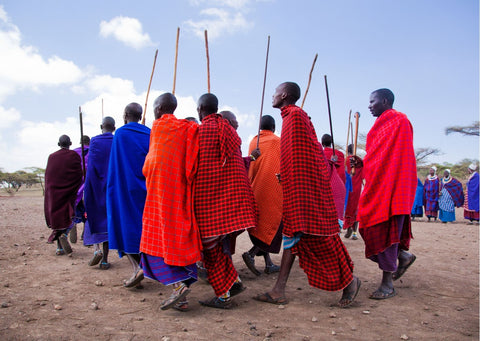 A group of Maasai wearing red, blue and purple cloaks gather