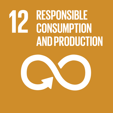 On an ochre background, the text '12 responsible consumption and production' is above an infinity circular symbol