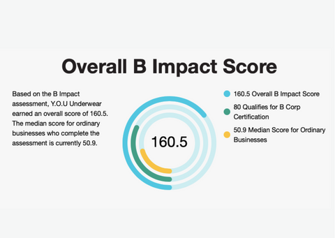 Our B Corp Score