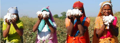 Women in the India cotton fields, holding up piles of cotton