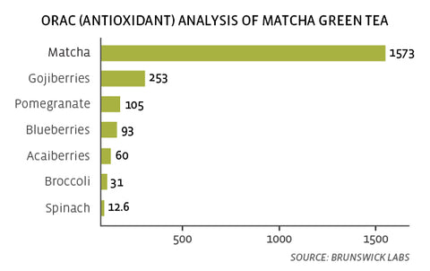 matcha antioxidants