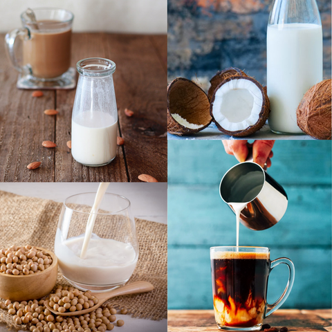 Soy Creamer Vs Coconut Creamer- Which Dairy-Free Creamer is Best For Y –  Coconut Cloud