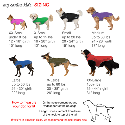 20 to 30 pound dogs