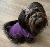 xxs ultimate dog sweater in purple