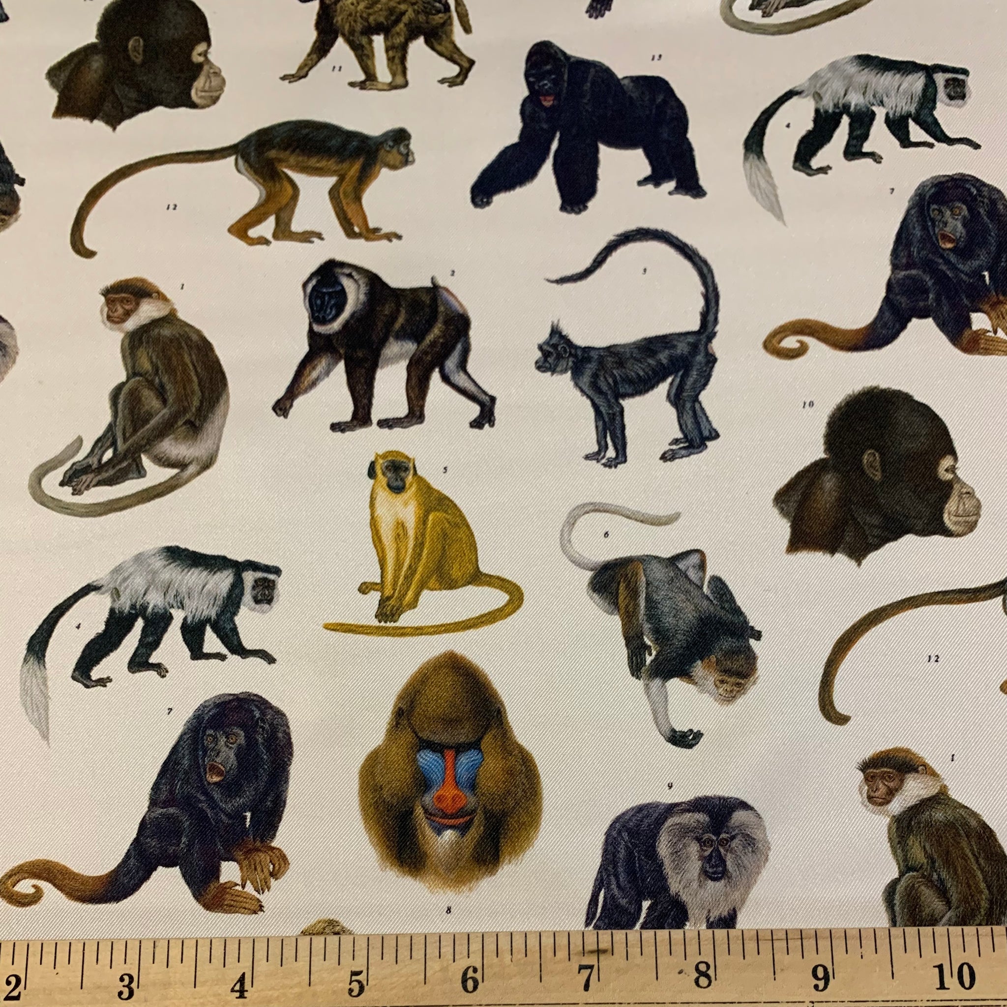 Burberry Monkey Print Silk Twill Fabric – Stitches
