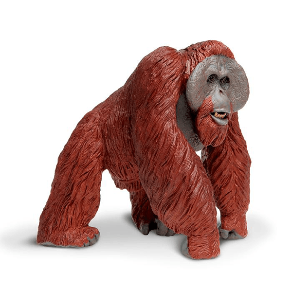 safari ltd orangutan