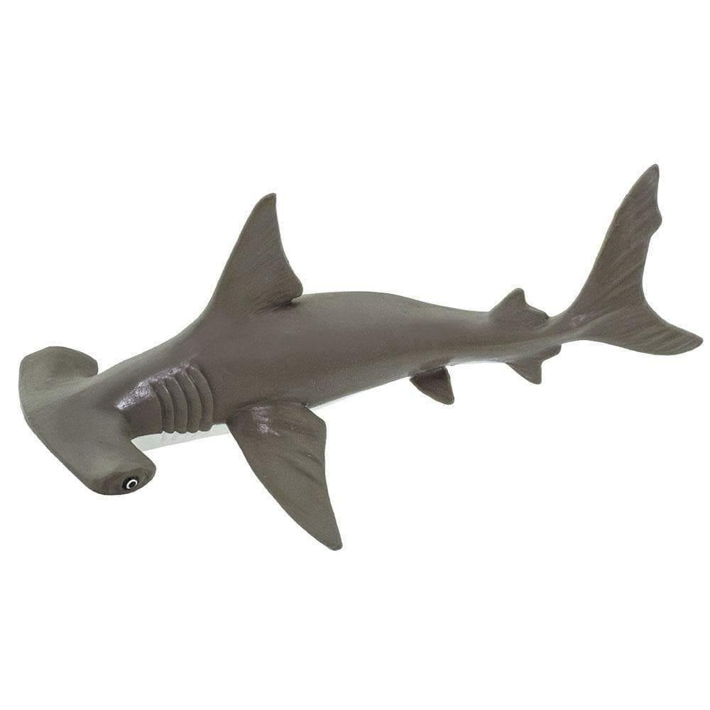 safari ltd baby hammerhead