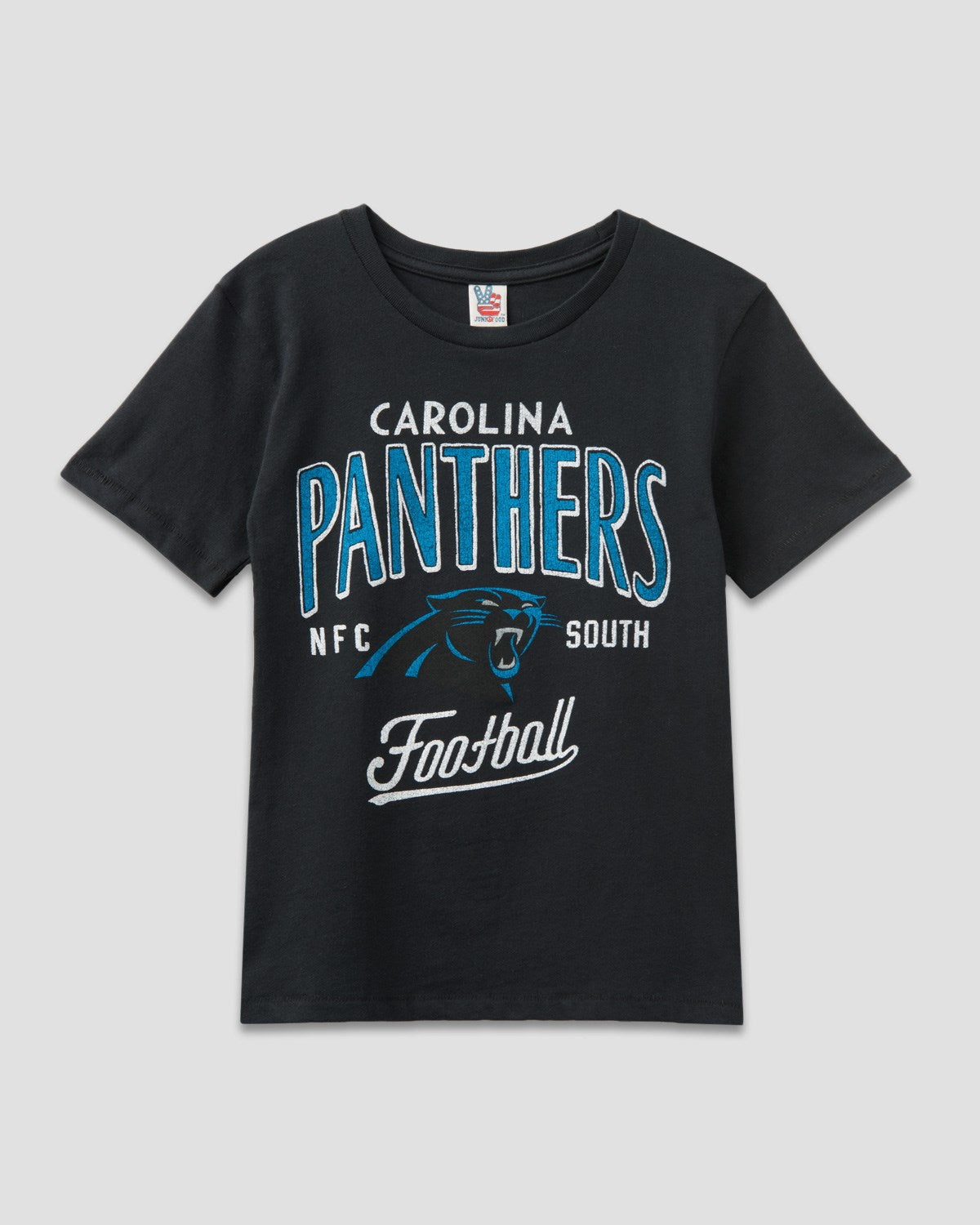 BOYS PANTHERS TOUCHDOWN TEE