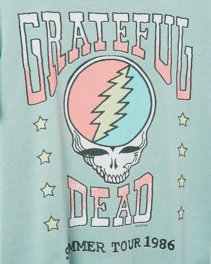 Grateful Dead Summer Tour Vintage Tee, Junk Food Clothing