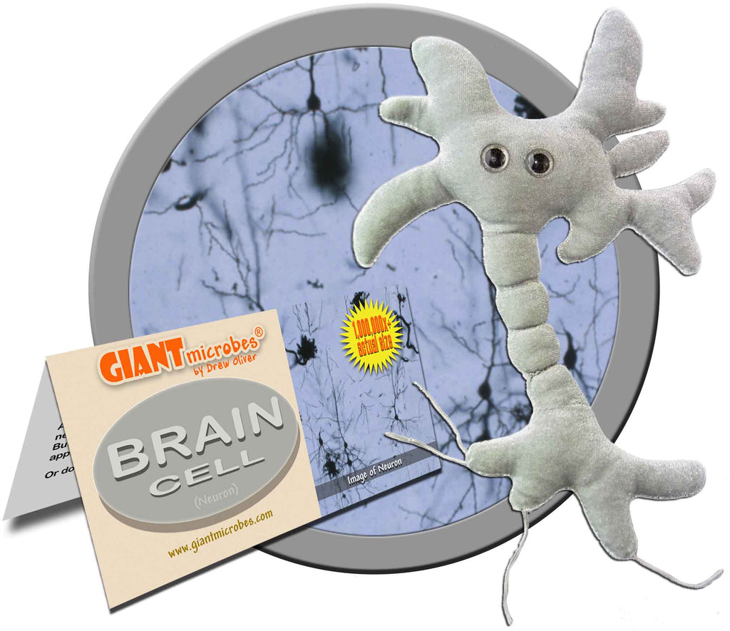 brain cell plush