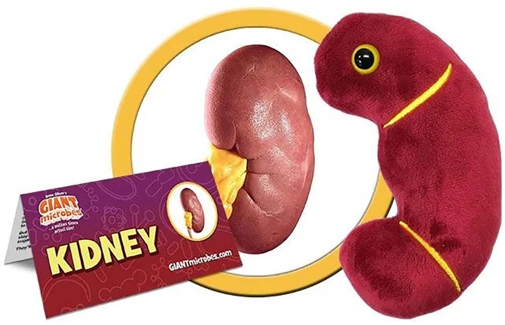 Giant Microbes Plush - Kidney