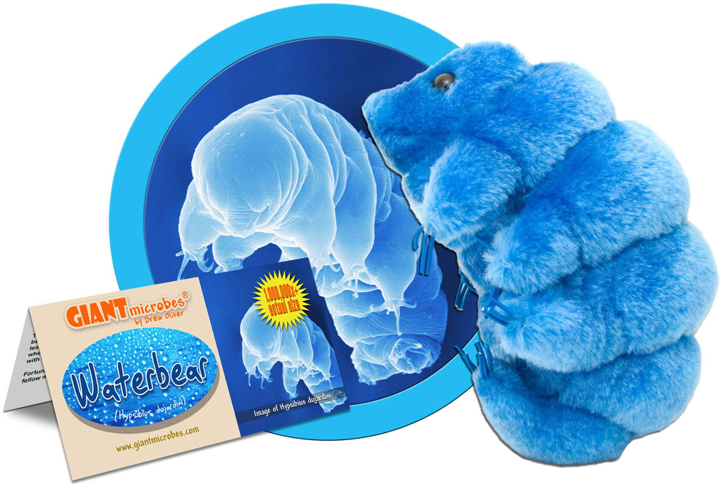 tardigrade plushie